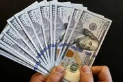 قیمت دلار در بازار آزاد امروز شنبه ۲۰ اردیبشهت ۱۴۰۴  +قیمت یورو و لیر ترکیه