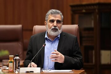 سخنگوی سازمان انرژی اتمی: ایران گزینه‌های زیادی برای دفاع از خود دارد