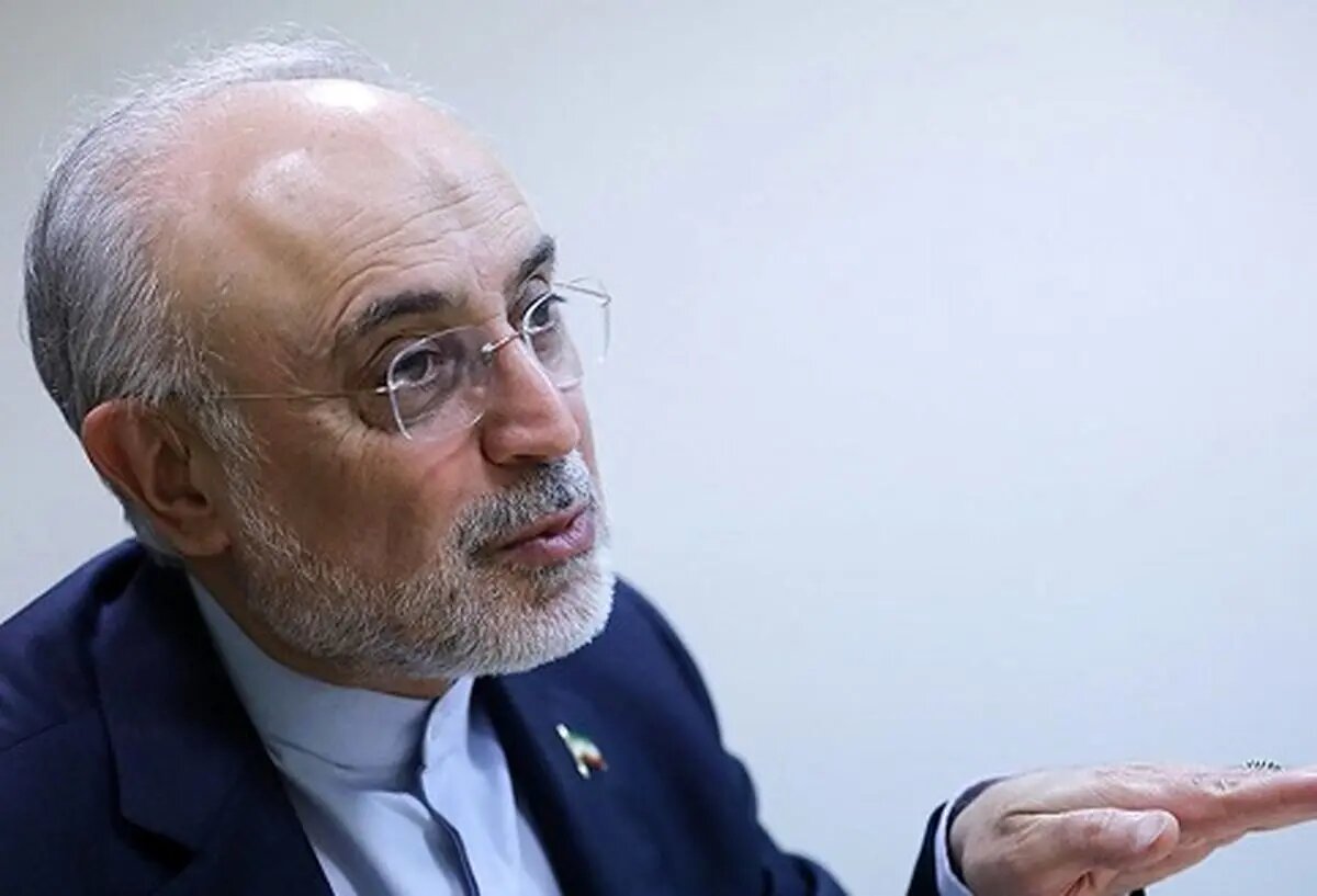 علی اکبر صالحی: با ناترازی‌های زیادی مواجه هستیم؛ به ناترازی در عقل هم توجه کنیم
