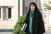 اگر این ماجرا واقعی باشد، عزل خانم وزیر تنها راه است