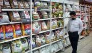 متعادل شدن بازار برنج با سیاست های جدید؛ مردم نگران قیمت ها نباشند