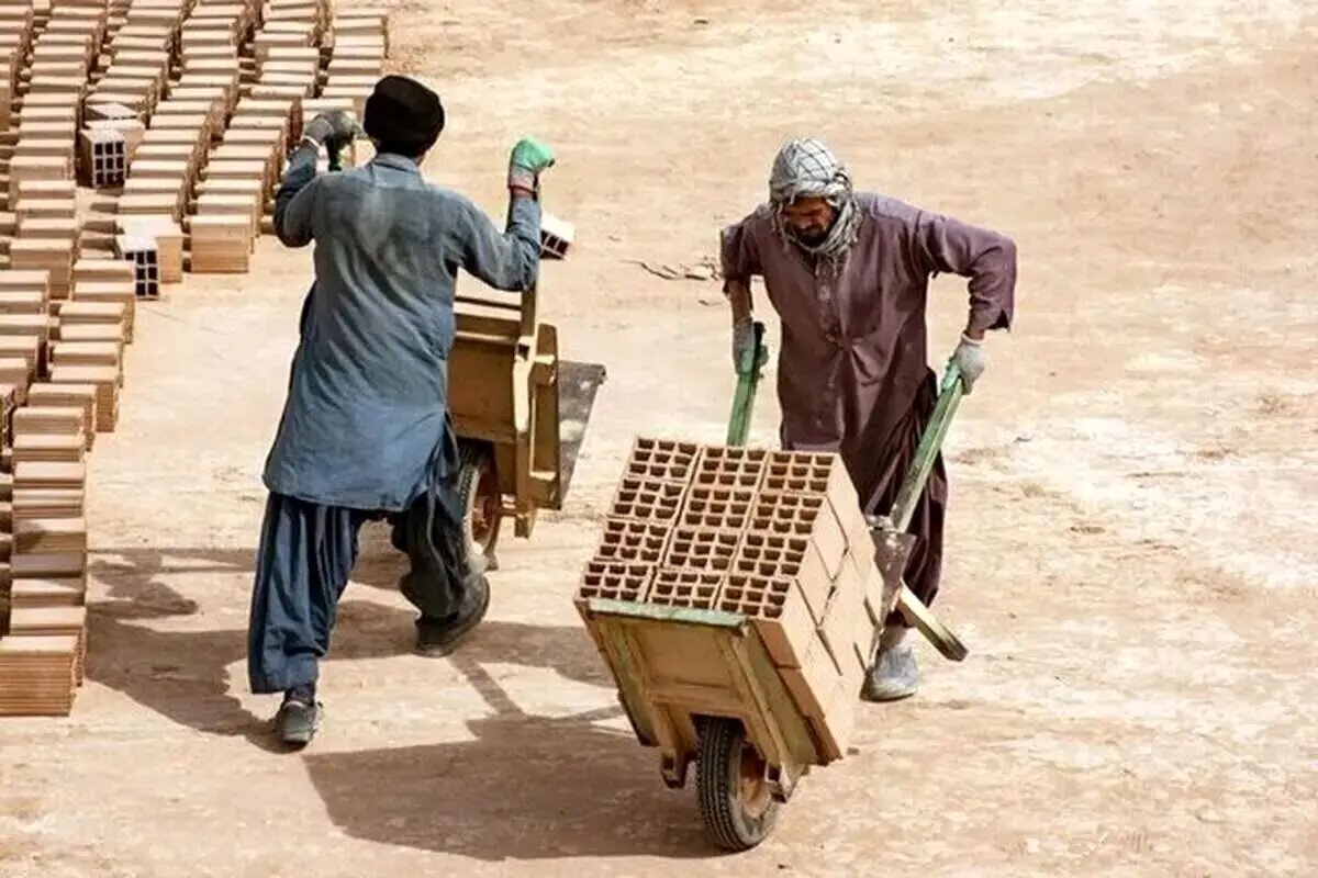 هشداری درباره مهاجران: بیشترین نرخ زاد و ولد متعلق به اتباع است/ حق کارگر ایرانی را بدهید