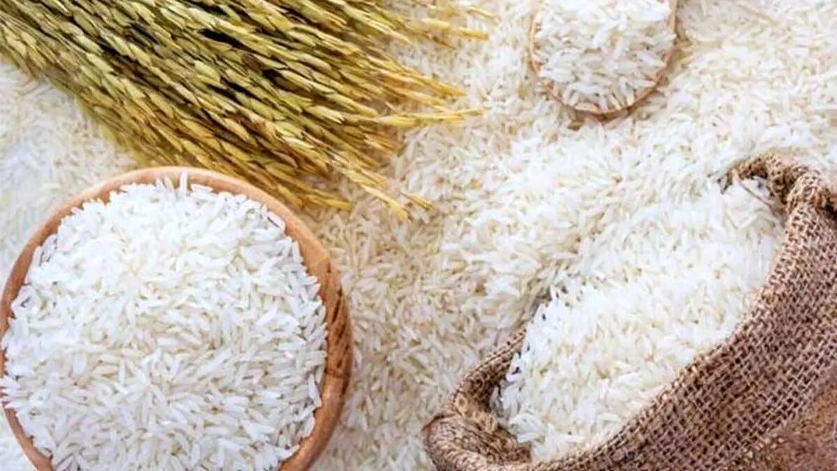 منتظر این قیمت جدید برنج باشید