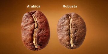 ۱۰ نکته که قبل از خرید قهوه باید بدانید!
