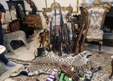 کشف محموله عظیم حیوانات تاکسیدرمی و سلاح‌های شکاری در تهران