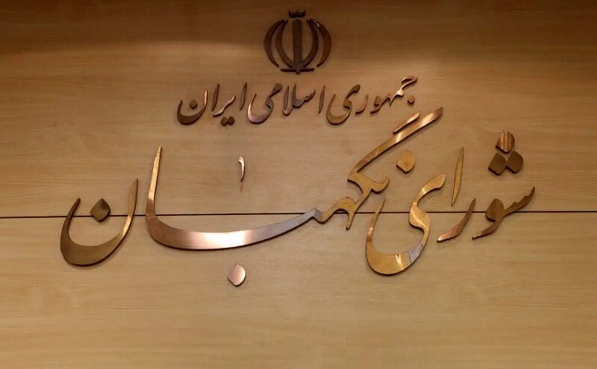 سخنگوی شورای نگهبان: ابهامات و ایرادات طرح «تشدید مجازات جاسوسی» قابل رفع است
