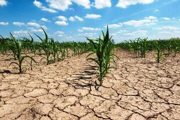 فروپاشی سرزمین ایران با ادامه بحران آب؟