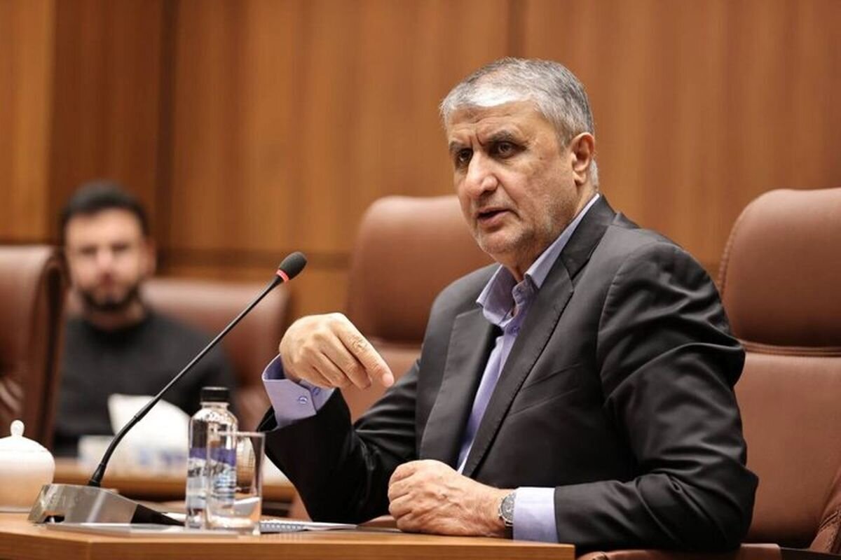 رئیس سازمان انرژی اتمی: ۲ بازرس آژانس با مجوز دبیرخانه شورای عالی امنیت ملی به ایران سفر کردند