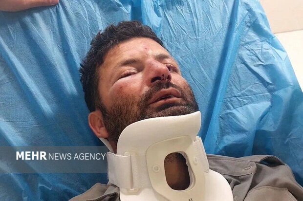 حمله ۳ متخلف به یک محیط‌بان در شمال تهران +عکس