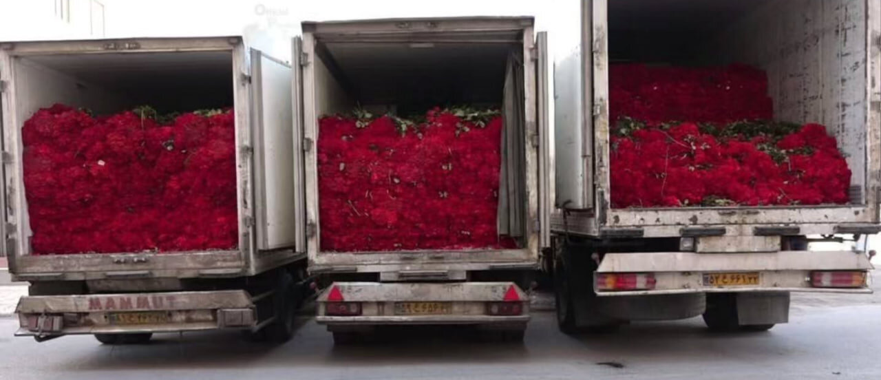 عکسی از مهریه متفاوت یک زن کرمانی که خبرساز شد