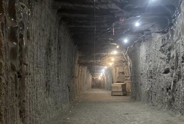 بیدار شدن میکروب‌های یخ‌زده پس از ۴۰ هزار سال!