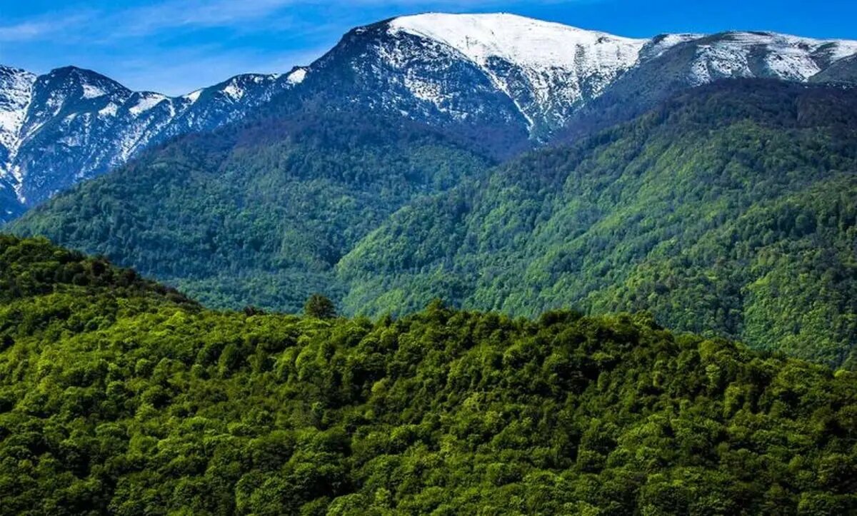 ویلاسازی وسیع یک فرد پرنفوذ در جنگل‌های هیرکانی!