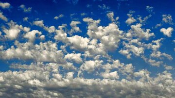 رنگ سال ۲۰۲۶ رسماً اعلام شد