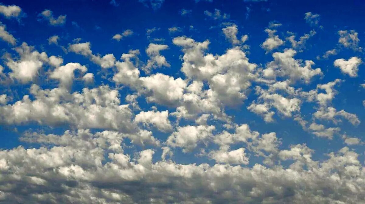 رنگ سال ۲۰۲۶ رسماً اعلام شد