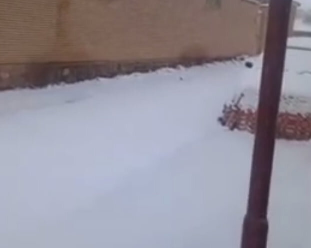 خودنمایی برف پاییزی در این منطقه کویری سوژه شد +ویدیو