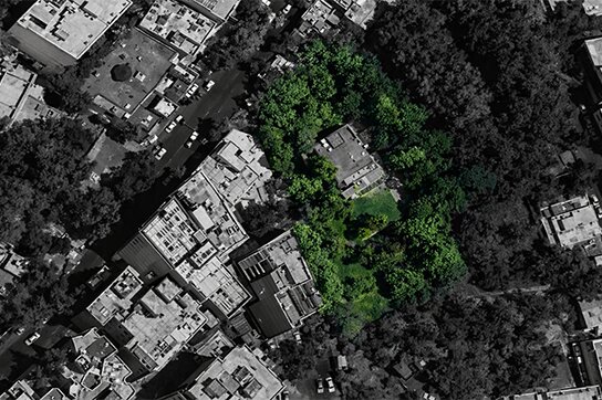 باغ ۳ هزارمتری زعفرانیه چگونه در یک جلسه مشکوک غیرباغ شد؟!