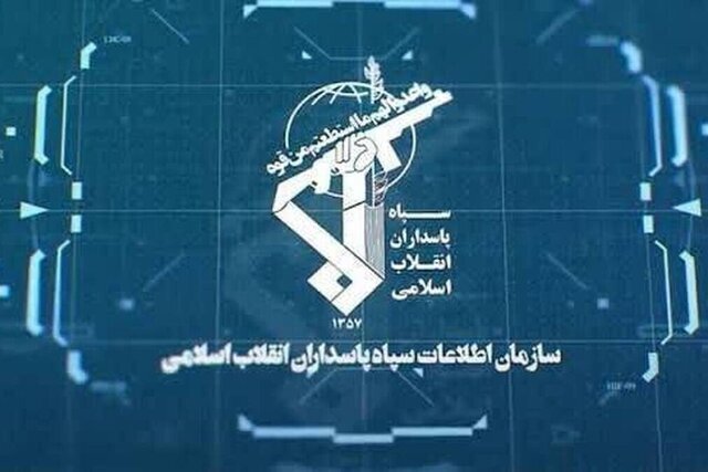 دستگیری یکی از تبعه بیگانه به جرم جاسوسی تایید شد