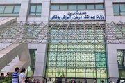 وزارت بهداشت: تحویل مدارک پزشکی مجروحان حوادث دی ماه شرایطی خاص دارد