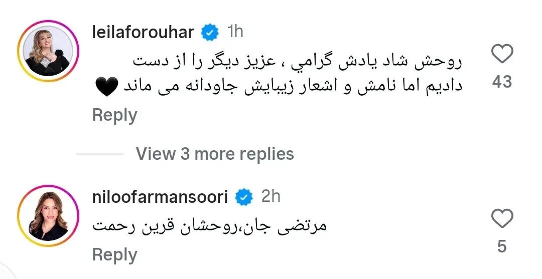 صبح سه‌شنبه با این خبر تلخ آغاز شد؛ هما میرافشار درگذشت