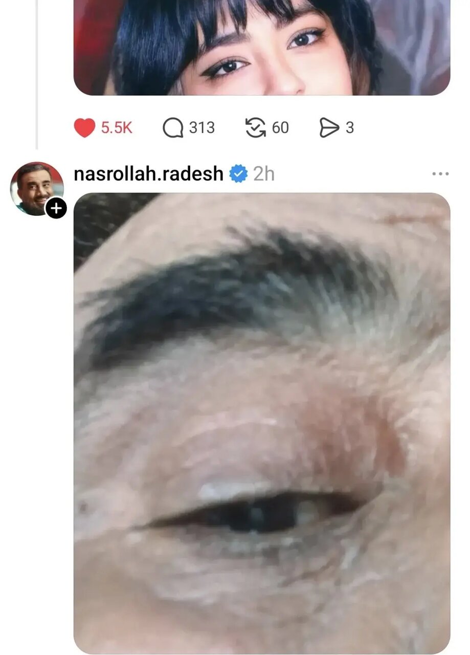 واکنش عجیب نصرالله رادش به تصویر نیکا شاکرمی
