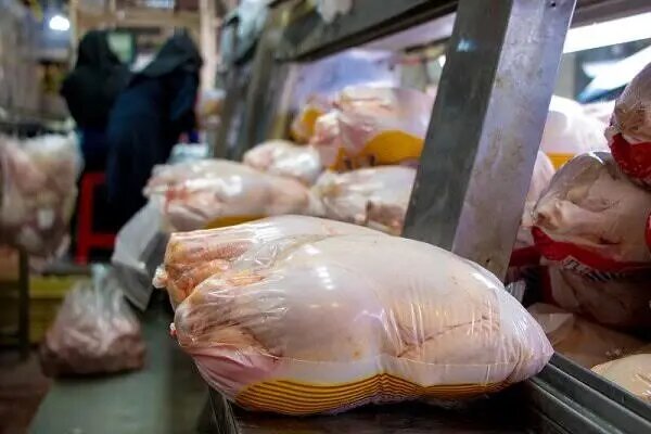 ادعای جنجالی درباره ۲۰هزار تن مرغ تاریخ گذشته