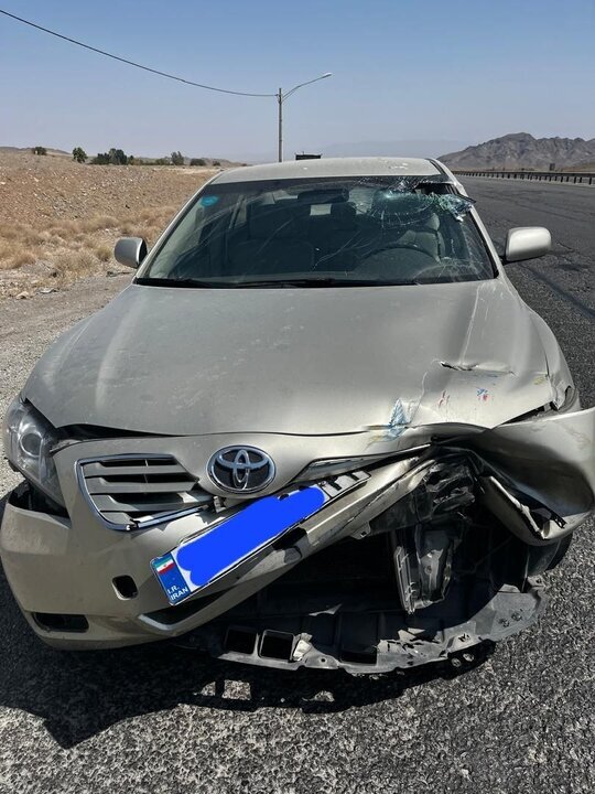 علیرضا افتخاری