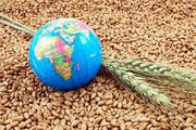وال استریت ژورنال: جهان در آستانه یک بحران غذایی است/ نقش ایران در این ماجرا