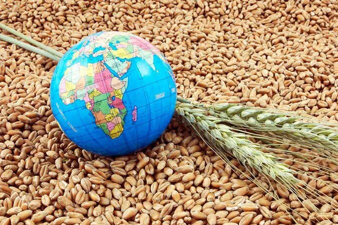 وال استریت ژورنال: جهان در آستانه یک بحران غذایی است/ نقش ایران در این ماجرا