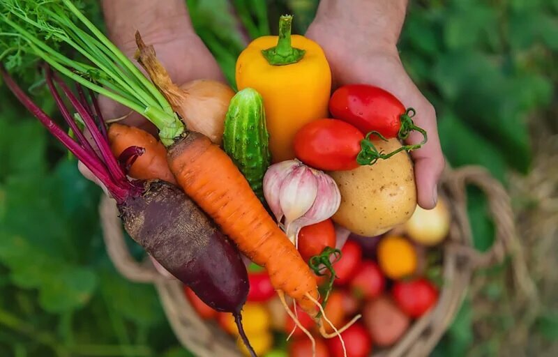برای از بین بردن چین و چروک خوردن این خوراکی‌ها را فراموش نکنید
