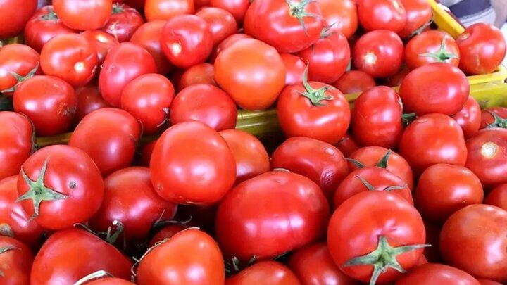 این سبزی پرمصرف را بپزید؛ احتمال ابتلا به سرطان پروستات را کاهش می‌دهد