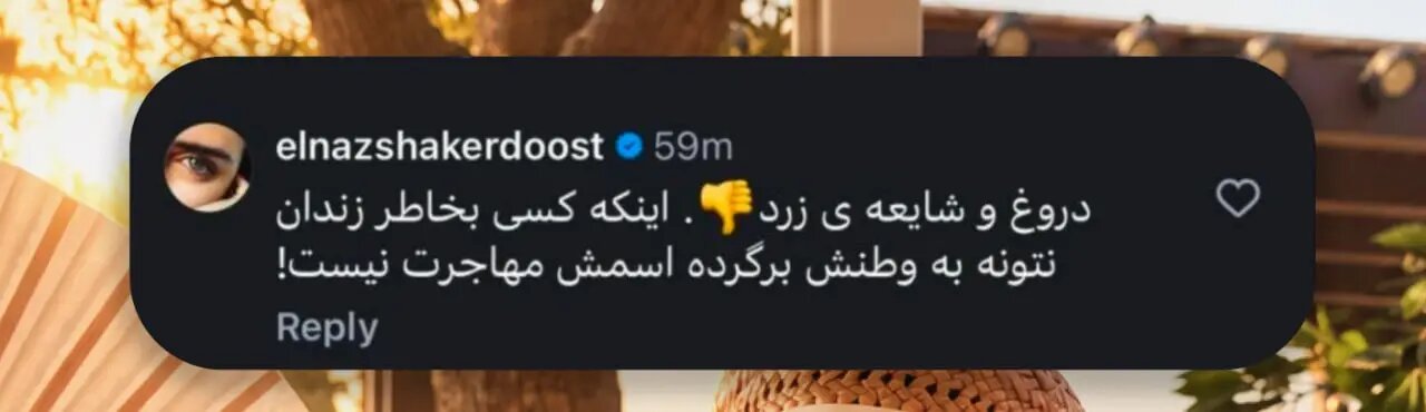 توضیحات الناز شاکردوست درباره مهاجرت از ایران!