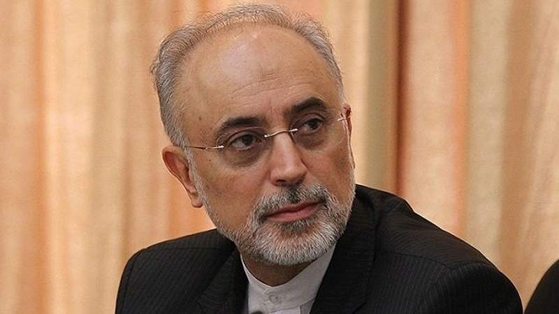 صالحی: آژانس اعلام کرده، درخواست دیگری برای بازرسی ندارد صالحی: آژانس اعلام کرده، درخواست دیگری برای بازرسی ندارد