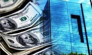 چرا کسی با دیجی کالا برخورد نمی‌کند؟