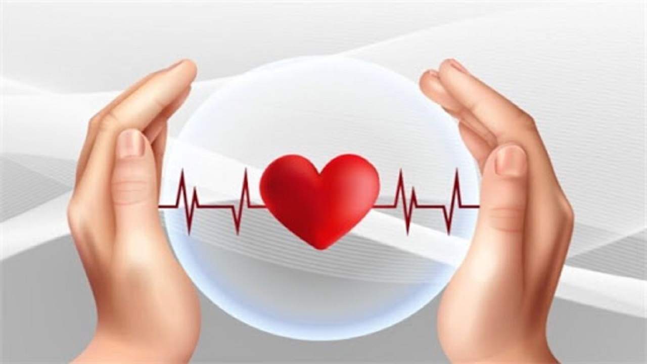 راه‌کار طب سنتی برای تقویت سیستم ایمنی بدن