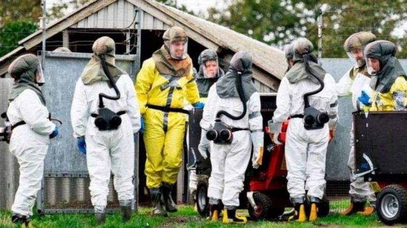 ویروس جهش یافته کرونا، «خوشه پنج» چیست؟