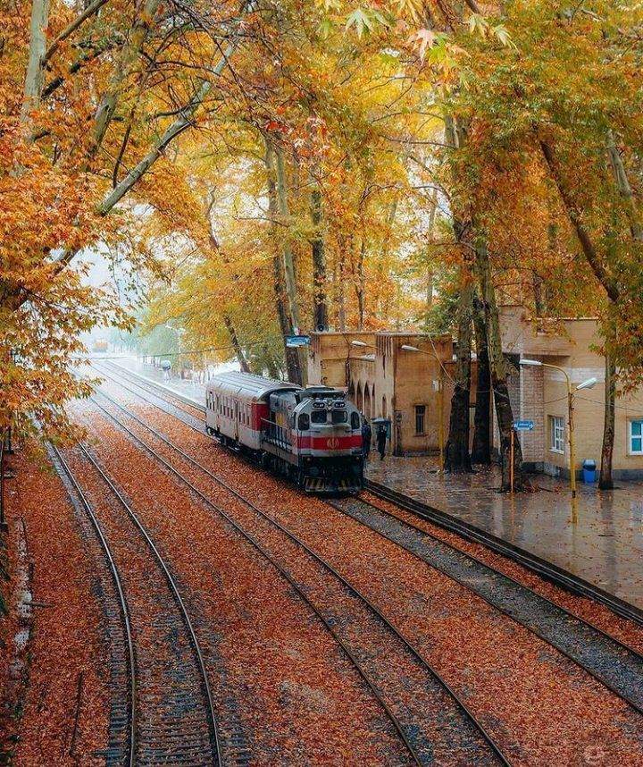 شاید باور نکنید: تصویری فوق‌العاده از لرستان ایران!