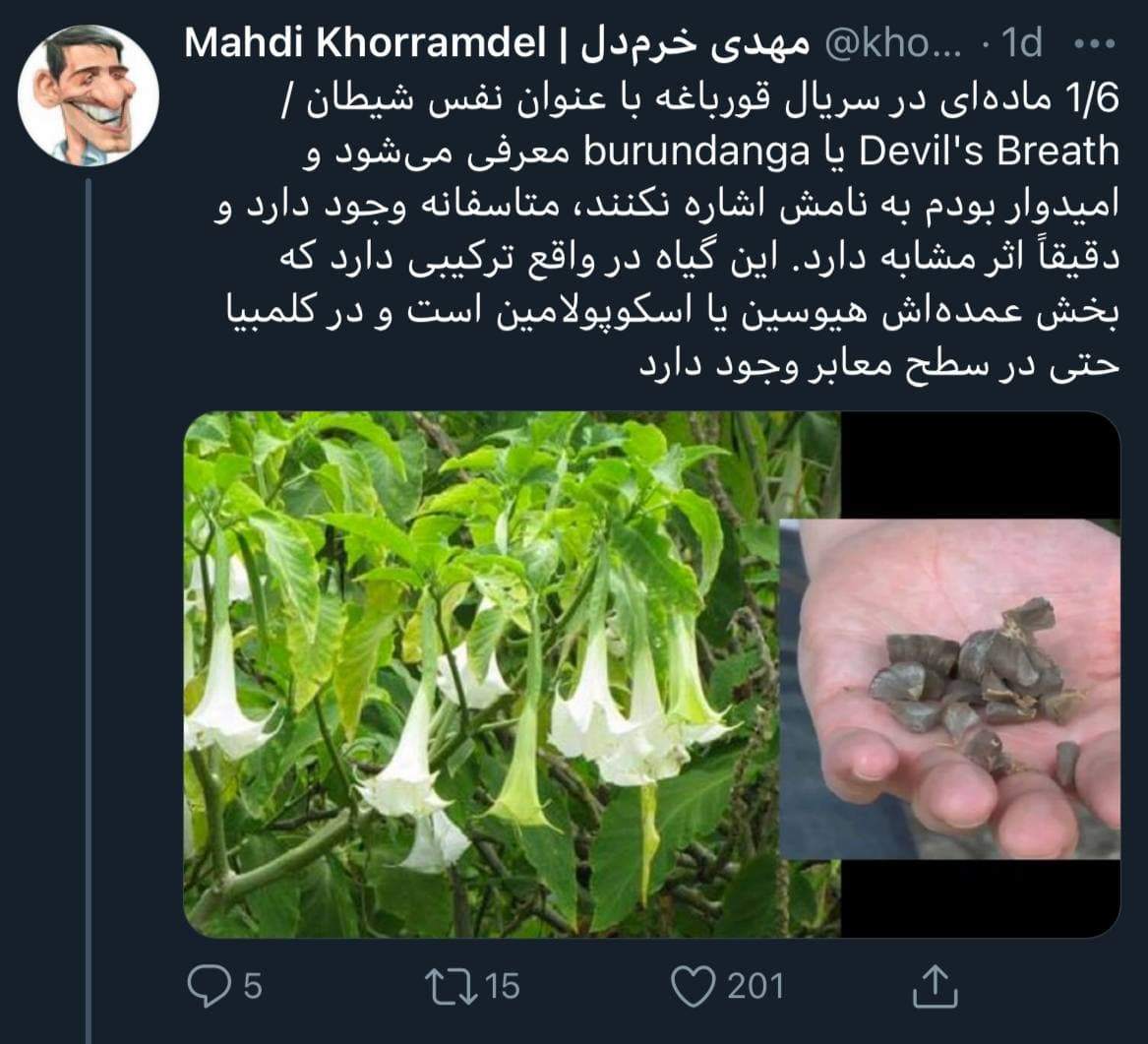 راز سریال قورباغه لو رفت؟/ مراقب این ماده خطرناک باشید!
