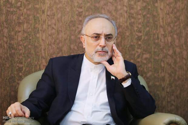 صالحی: حضور در این عرصه برای بنده، مقبول و ممدوح نیست صالحی: حضور در این عرصه برای بنده، مقبول و ممدوح نیست