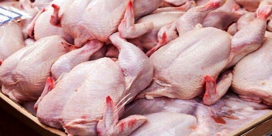 قیمت جدید مرغ ۱۰۰هزار تومان؟!