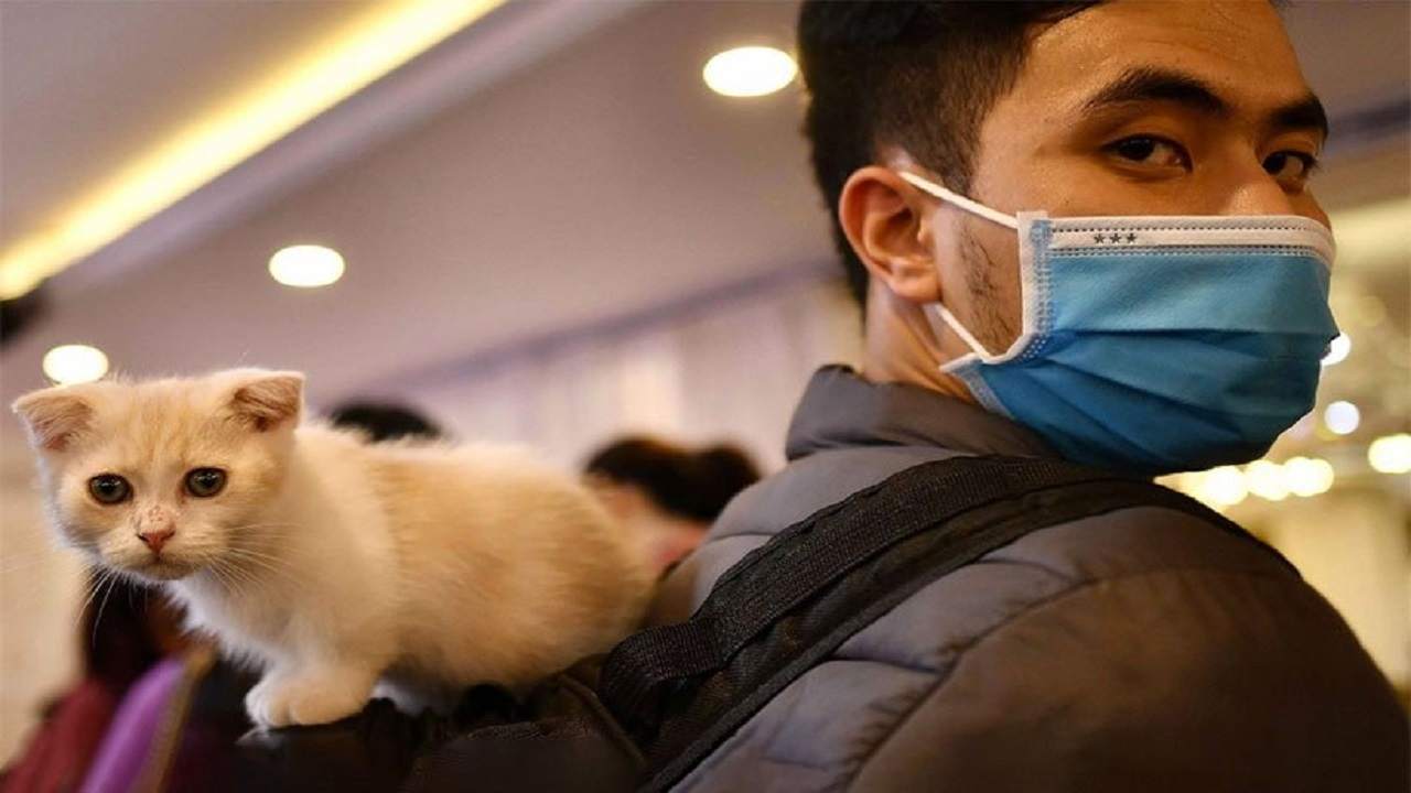 هشدار سازمان جهانی بهداشت به محدود کردن ارتباط با حیوانات خانگی