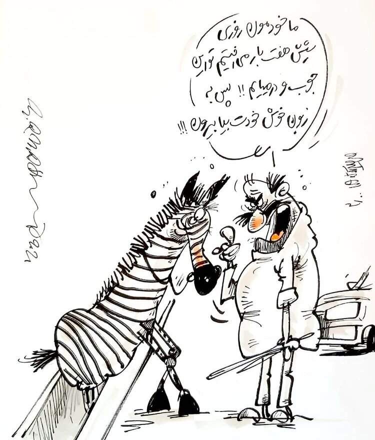 ببینید: انتقاد به ماجرای تلخ آزار گورخر آفریقایی