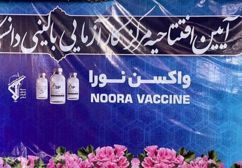 آفتابه لگن هفت دست… واکسیناسیون ۵ درصد!