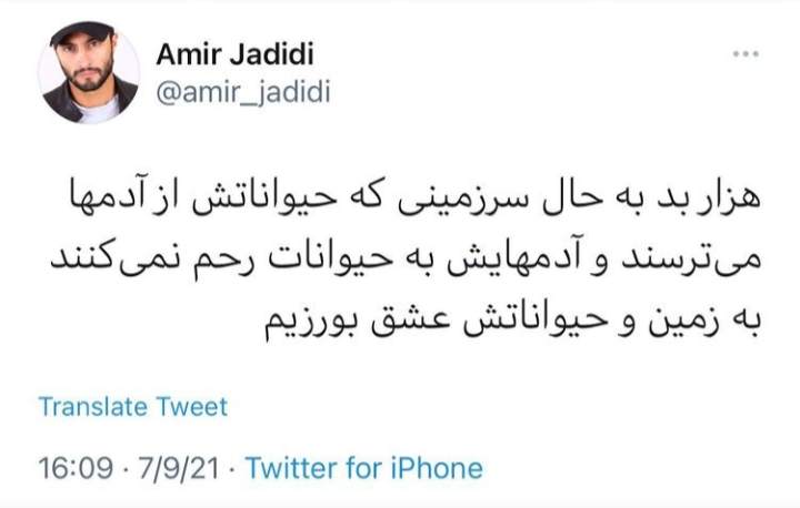 واکنش امیر جدیدی به ماجرای سگ‌کشی سربندر +عکس