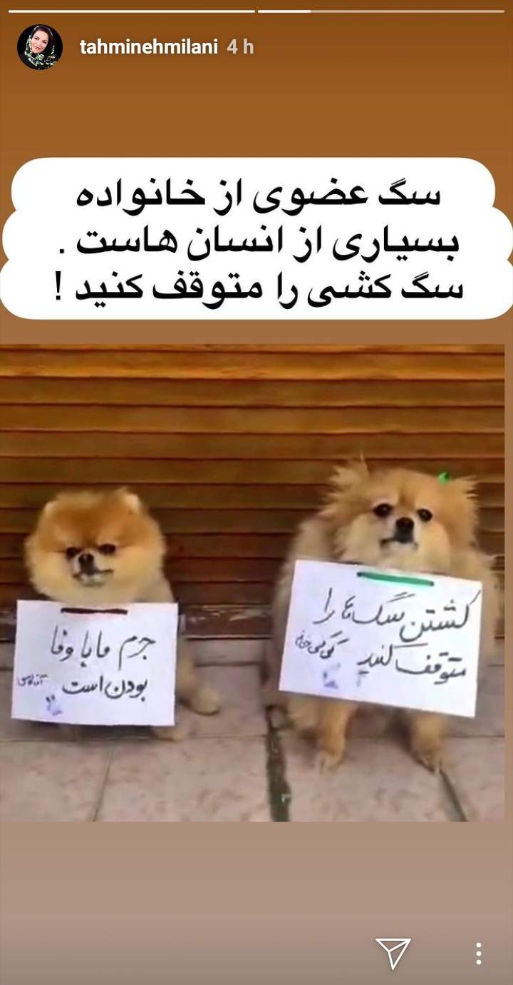 تهمینه میلانی خواستار پایان خشونت علیه سگ‌ها شد +عکس