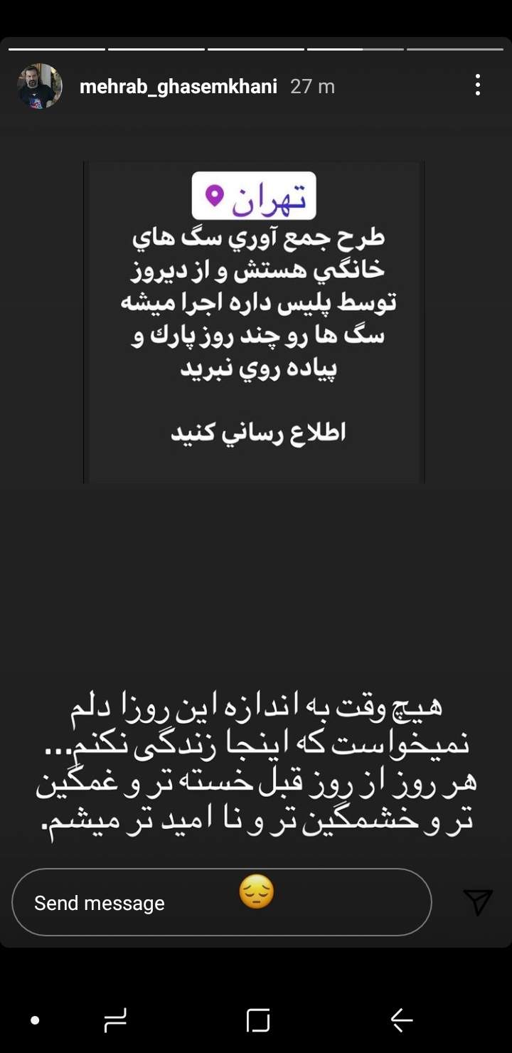 واکنش مهراب قاسم‌خانی به اجرای طرح جمع‌آوری سگ‌های خانگی +عکس
