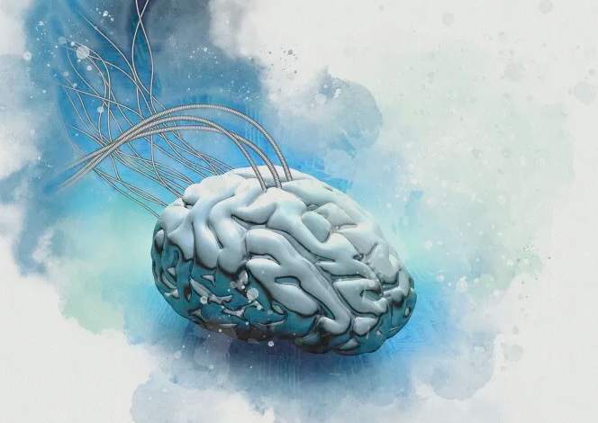 مغز انسان روی تراشه سه بعدی کپی می‌شود؟