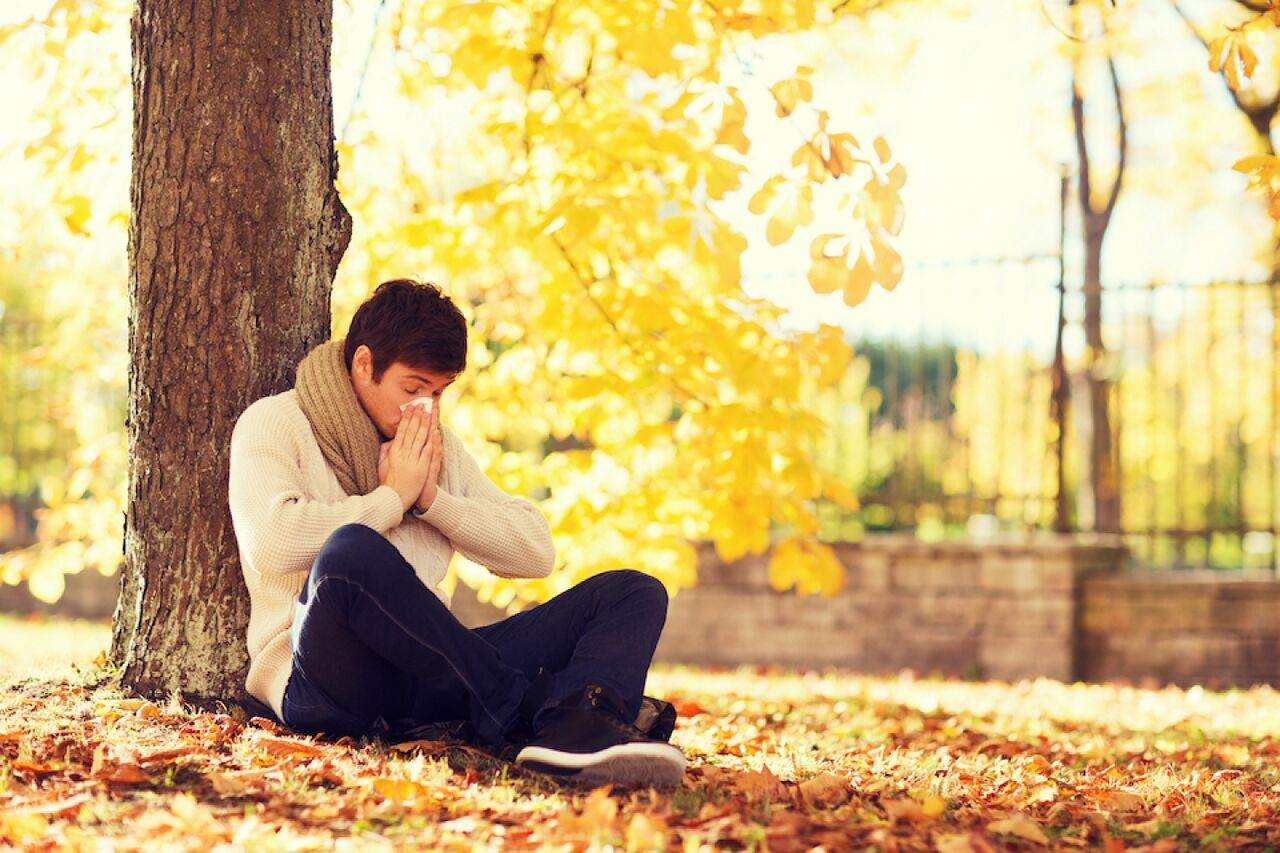 حساسیت پاییزی و راه های مقابله با آن حساسیت پاییزی و راه های مقابله با آن