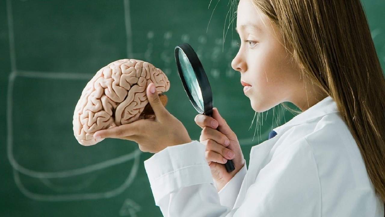 مغز چگونه با افسردگی مبارزه میکند؟ مغز چگونه با افسردگی مبارزه میکند؟