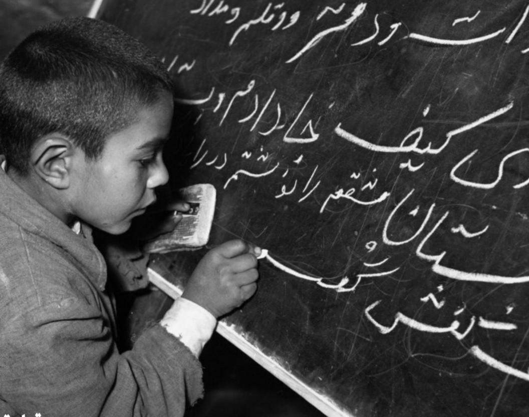 اینطوری شد که ما هم رفتیم قاطی باقالیها! اینطوری شد که ما هم رفتیم قاطی باقالیها!