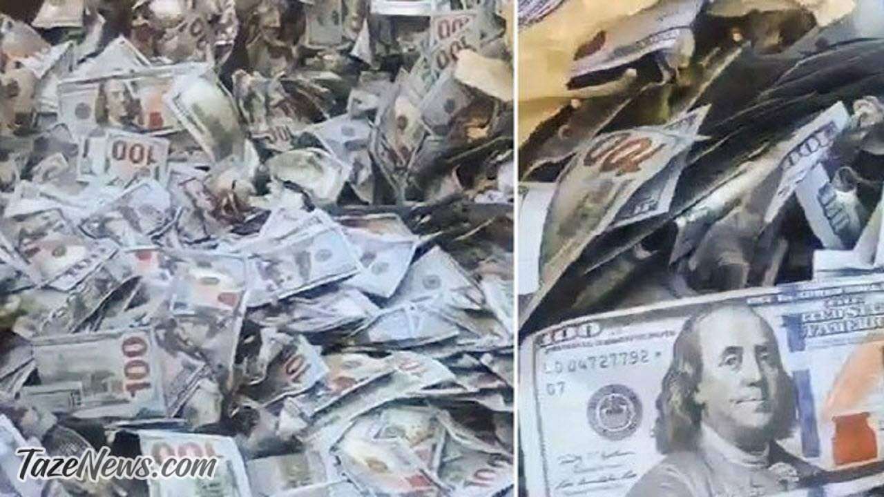 ماجرای چند هزار دلاری که در سطل آشغال پیدا شد! +عکس